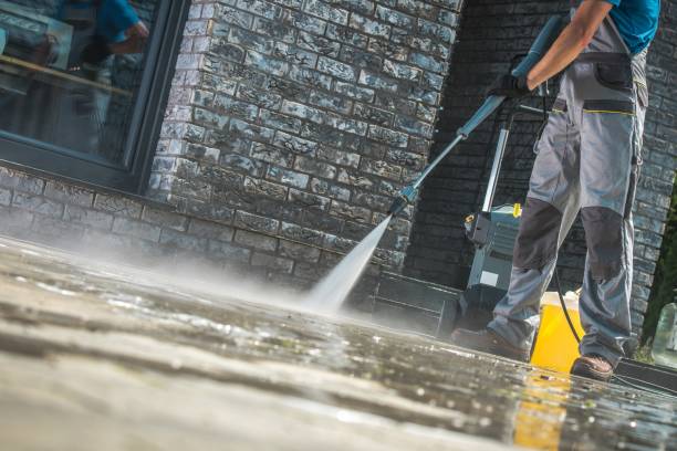 Best Spring Cleaning  in Bernalillo, NM